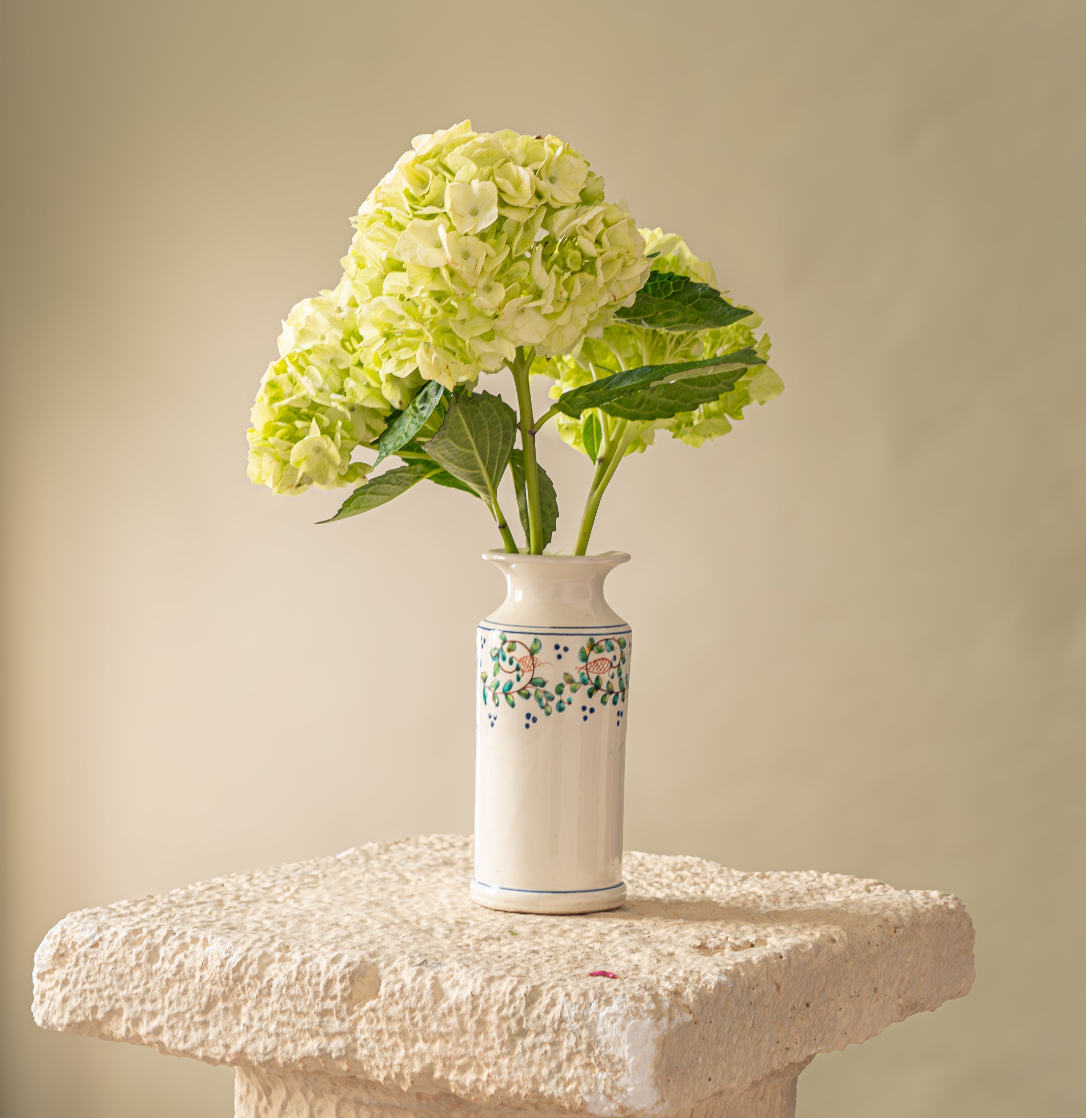 Stay Hydrated - Hydrangea
