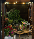 Flower Stand