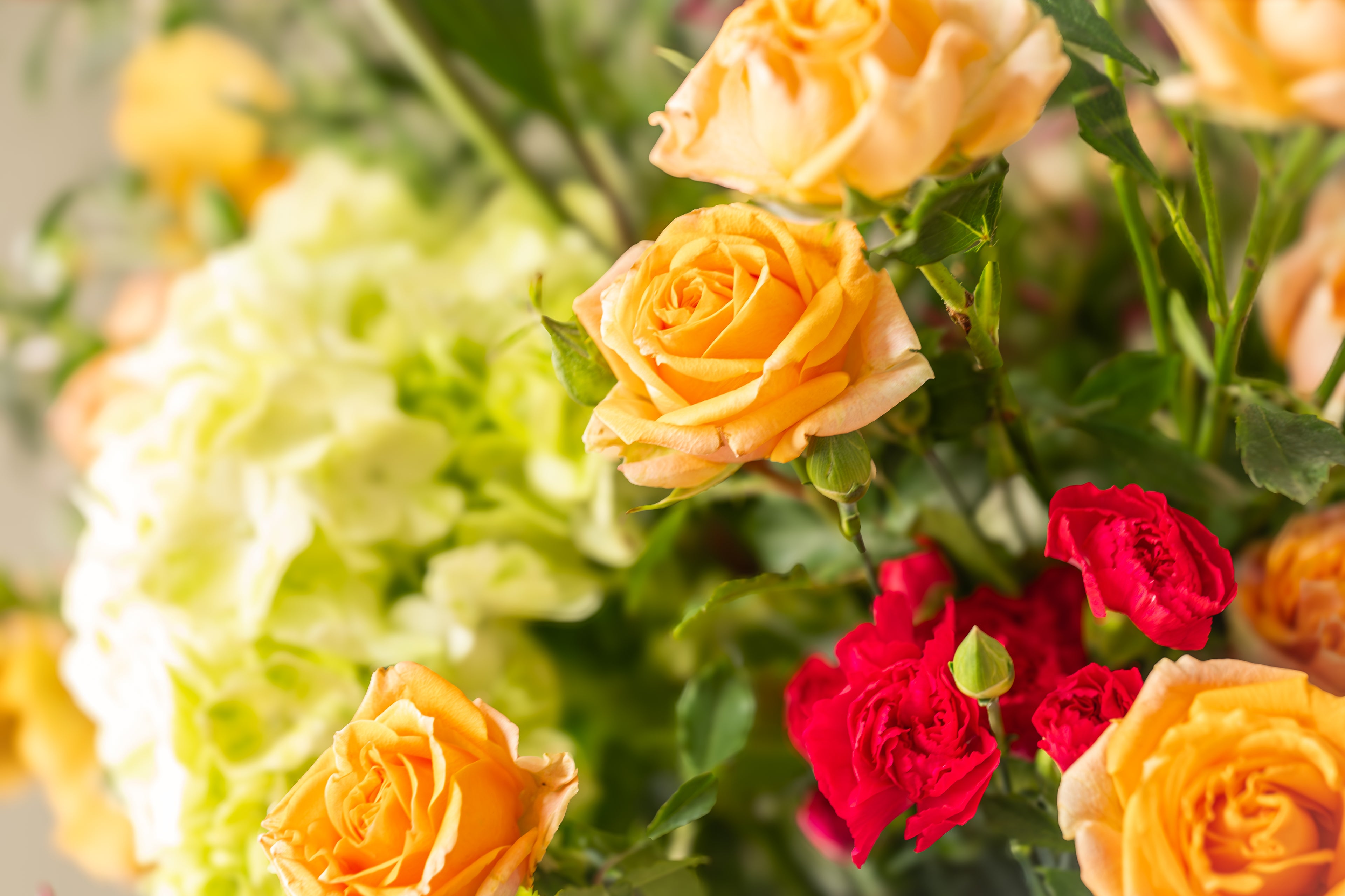 Orange Bouquet