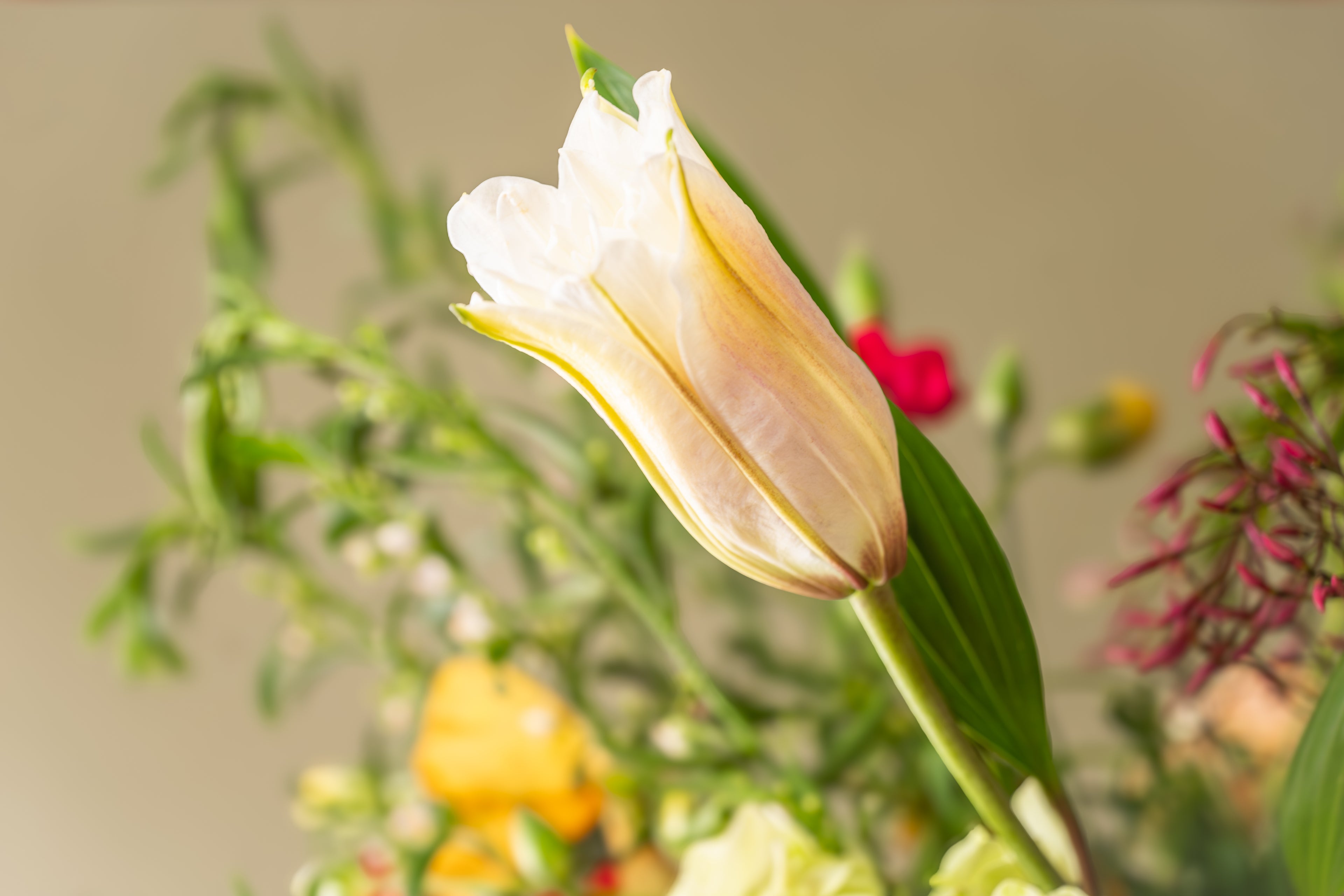 Orange Bouquet