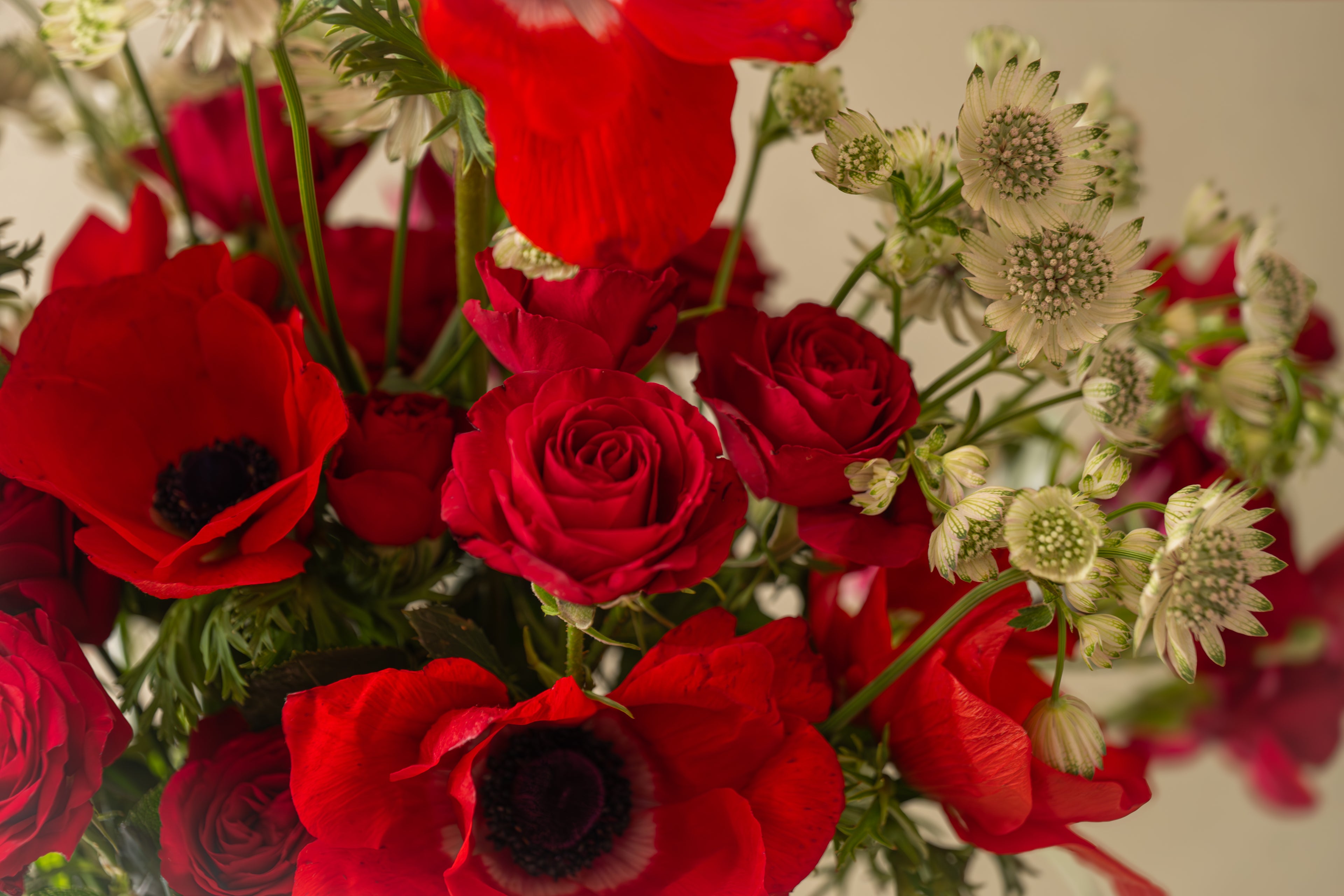 Red Bouquet