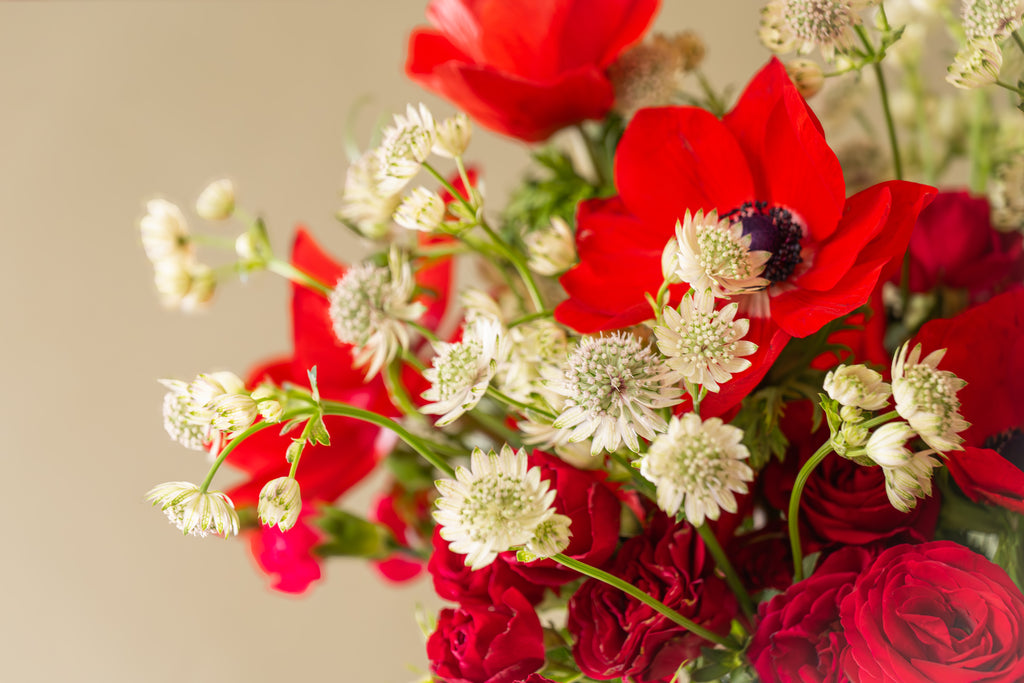 Red Bouquet